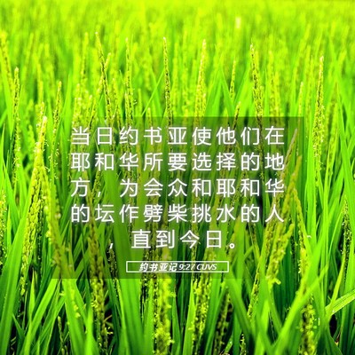 Picture 05 - 约 书 亚 记 9:27 CUVS - 当 日 约 书 亚 使 他 们 在 耶 和 华 - Bible Verse Picture