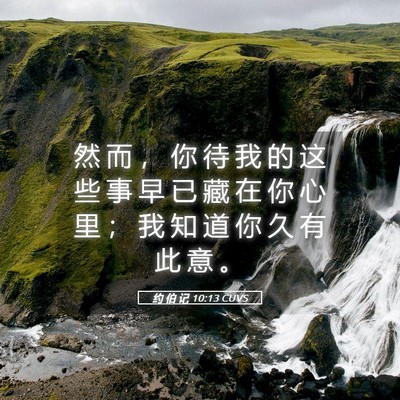 Picture 05 - 约 伯 记 10:13 CUVS - 然 而 ， 你 待 我 的 这 些 事 早 已 - Bible Verse Picture