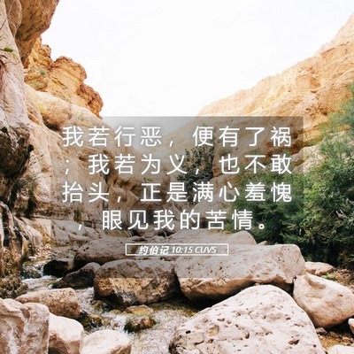Picture 05 - 约 伯 记 10:15 CUVS - 我 若 行 恶 ， 便 有 了 祸 ； 我 若 - Bible Verse Picture