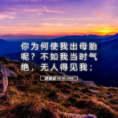 Picture 05 - 约 伯 记 10:18 CUVS - 你 为 何 使 我 出 母 胎 呢 ？ 不 如 - Bible Verse Picture