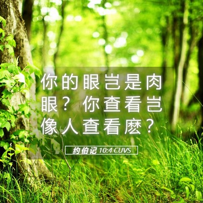 Picture 05 - 约 伯 记 10:4 CUVS - 你 的 眼 岂 是 肉 眼 ？ 你 查 看 岂 - Bible Verse Picture