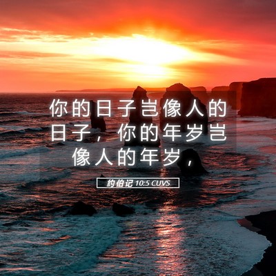 Picture 05 - 约 伯 记 10:5 CUVS - 你 的 日 子 岂 像 人 的 日 子 ， 你 - Bible Verse Picture
