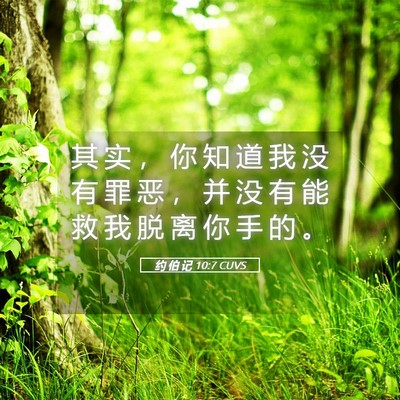 Picture 05 - 约 伯 记 10:7 CUVS - 其 实 ， 你 知 道 我 没 有 罪 恶 ， - Bible Verse Picture