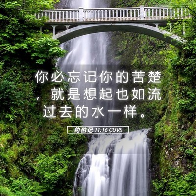 Picture 05 - 约 伯 记 11:16 CUVS - 你 必 忘 记 你 的 苦 楚 ， 就 是 想 - Bible Verse Picture