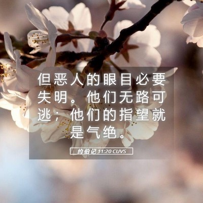 Picture 05 - 约 伯 记 11:20 CUVS - 但 恶 人 的 眼 目 必 要 失 明 。 他 - Bible Verse Picture