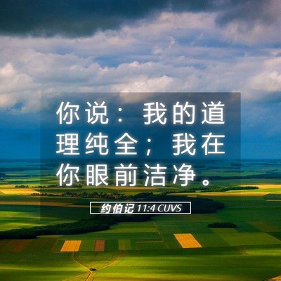 Picture 05 - 约 伯 记 11:4 CUVS - 你 说 ： 我 的 道 理 纯 全 ； 我 在 - Bible Verse Picture