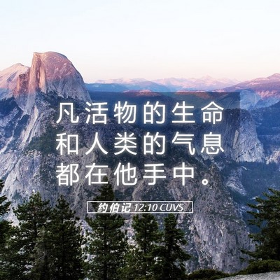 Picture 05 - 约 伯 记 12:10 CUVS - 凡 活 物 的 生 命 和 人 类 的 气 息 - Bible Verse Picture