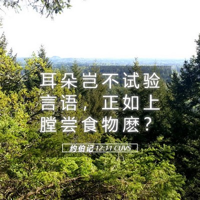 Picture 05 - 约 伯 记 12:11 CUVS - 耳 朵 岂 不 试 验 言 语 ， 正 如 上 - Bible Verse Picture