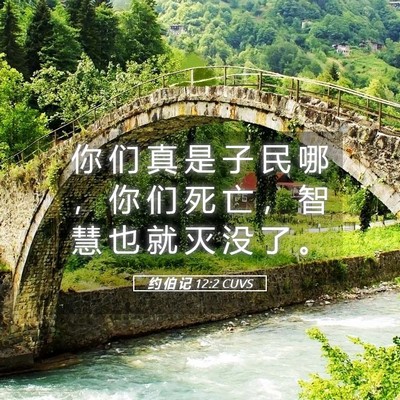 Picture 05 - 约 伯 记 12:2 CUVS - 你 们 真 是 子 民 哪 ， 你 们 死 亡 - Bible Verse Picture