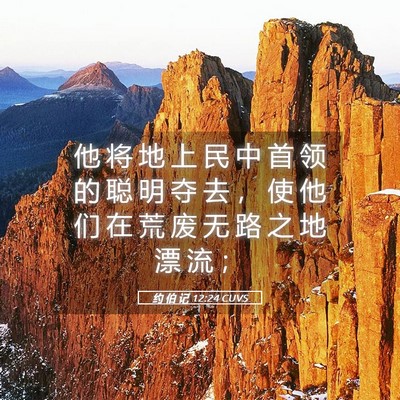 Picture 05 - 约 伯 记 12:24 CUVS - 他 将 地 上 民 中 首 领 的 聪 明 夺 - Bible Verse Picture