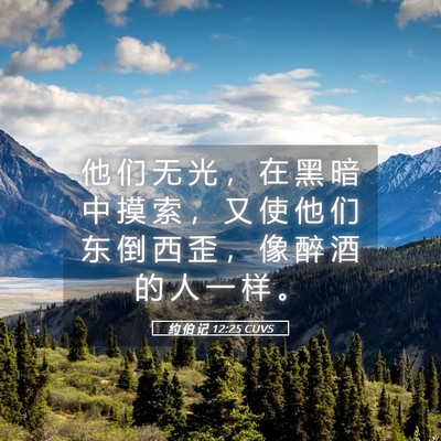 Picture 05 - 约 伯 记 12:25 CUVS - 他 们 无 光 ， 在 黑 暗 中 摸 索 ， - Bible Verse Picture