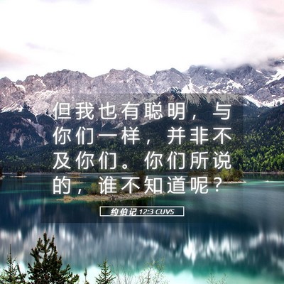Picture 05 - 约 伯 记 12:3 CUVS - 但 我 也 有 聪 明 ， 与 你 们 一 样 - Bible Verse Picture