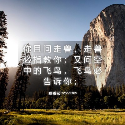 Picture 05 - 约 伯 记 12:7 CUVS - 你 且 问 走 兽 ， 走 兽 必 指 教 你 - Bible Verse Picture