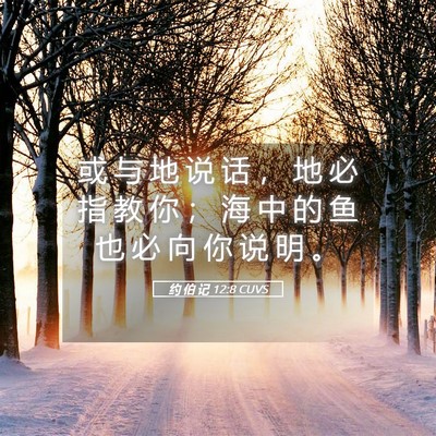 Picture 05 - 约 伯 记 12:8 CUVS - 或 与 地 说 话 ， 地 必 指 教 你 ； - Bible Verse Picture
