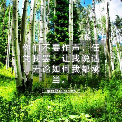 Picture 05 - 约 伯 记 13:13 CUVS - 你 们 不 要 作 声 ， 任 凭 我 罢 ！ - Bible Verse Picture
