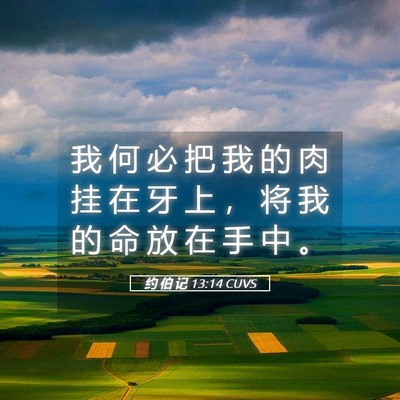 Picture 05 - 约 伯 记 13:14 CUVS - 我 何 必 把 我 的 肉 挂 在 牙 上 ， - Bible Verse Picture
