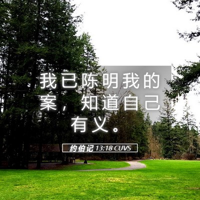 Picture 05 - 约 伯 记 13:18 CUVS - 我 已 陈 明 我 的 案 ， 知 道 自 己 - Bible Verse Picture