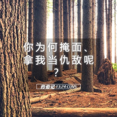 Picture 05 - 约 伯 记 13:24 CUVS - 你 为 何 掩 面 、 拿 我 当 仇 敌 呢 - Bible Verse Picture