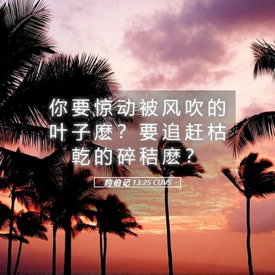 Picture 05 - 约 伯 记 13:25 CUVS - 你 要 惊 动 被 风 吹 的 叶 子 麽 ？ - Bible Verse Picture