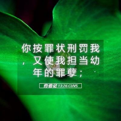 Picture 05 - 约 伯 记 13:26 CUVS - 你 按 罪 状 刑 罚 我 ， 又 使 我 担 - Bible Verse Picture