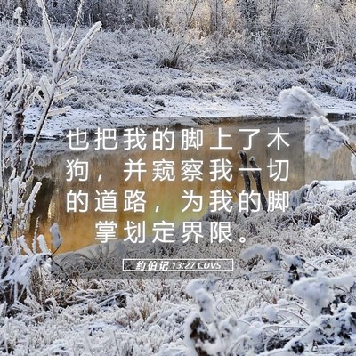 Picture 05 - 约 伯 记 13:27 CUVS - 也 把 我 的 脚 上 了 木 狗 ， 并 窥 - Bible Verse Picture