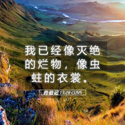 Picture 05 - 约 伯 记 13:28 CUVS - 我 已 经 像 灭 绝 的 烂 物 ， 像 虫 - Bible Verse Picture