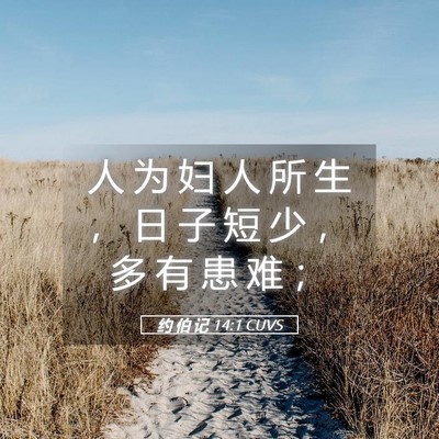 Picture 05 - 约 伯 记 14:1 CUVS - 人 为 妇 人 所 生 ， 日 子 短 少 ， - Bible Verse Picture