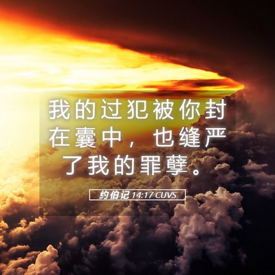Picture 05 - 约 伯 记 14:17 CUVS - 我 的 过 犯 被 你 封 在 囊 中 ， 也 - Bible Verse Picture