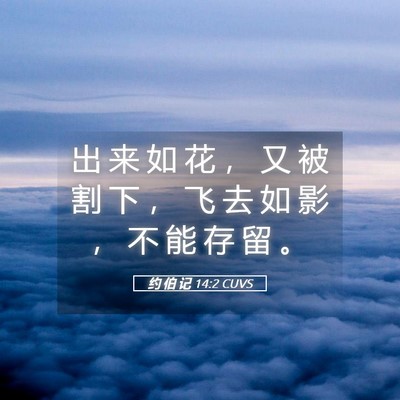 Picture 05 - 约 伯 记 14:2 CUVS - 出 来 如 花 ， 又 被 割 下 ， 飞 去 - Bible Verse Picture
