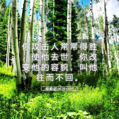 Picture 05 - 约 伯 记 14:20 CUVS - 你 攻 击 人 常 常 得 胜 ， 使 他 去 - Bible Verse Picture