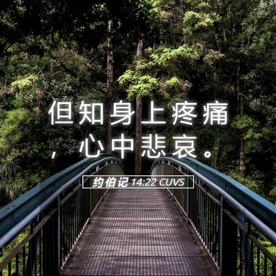 Picture 05 - 约 伯 记 14:22 CUVS - 但 知 身 上 疼 痛 ， 心 中 悲 哀 - Bible Verse Picture