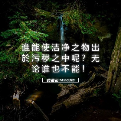 Picture 05 - 约 伯 记 14:4 CUVS - 谁 能 使 洁 净 之 物 出 於 污 秽 之 - Bible Verse Picture
