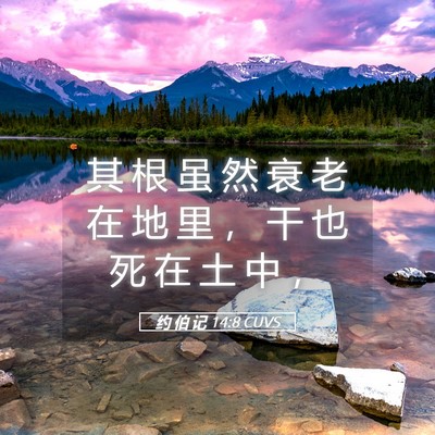 Picture 05 - 约 伯 记 14:8 CUVS - 其 根 虽 然 衰 老 在 地 里 ， 干 也 - Bible Verse Picture
