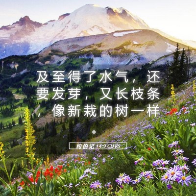 Picture 05 - 约 伯 记 14:9 CUVS - 及 至 得 了 水 气 ， 还 要 发 芽 ， - Bible Verse Picture