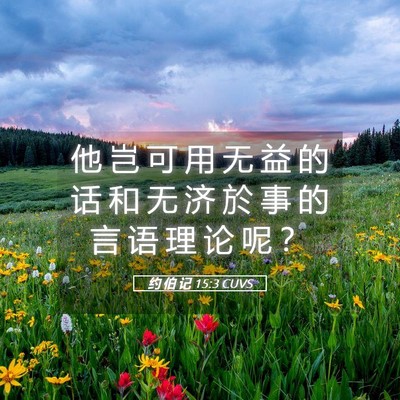 Picture 05 - 约 伯 记 15:3 CUVS - 他 岂 可 用 无 益 的 话 和 无 济 於 - Bible Verse Picture