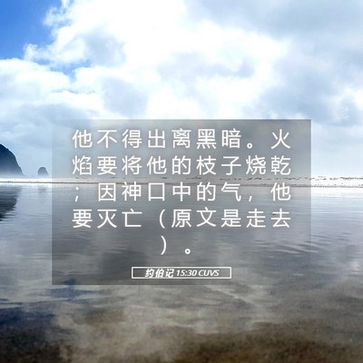 Picture 05 - 约 伯 记 15:30 CUVS - 他 不 得 出 离 黑 暗 。 火 焰 要 将 - Bible Verse Picture