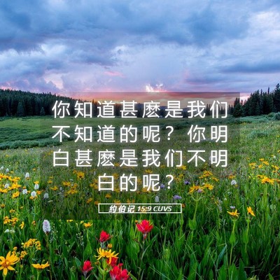 Picture 05 - 约 伯 记 15:9 CUVS - 你 知 道 甚 麽 是 我 们 不 知 道 的 - Bible Verse Picture