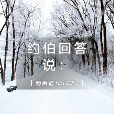 Picture 05 - 约 伯 记 16:1 CUVS - 约 伯 回 答 说 - Bible Verse Picture