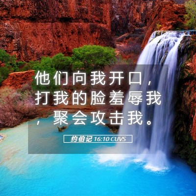 Picture 05 - 约 伯 记 16:10 CUVS - 他 们 向 我 开 口 ， 打 我 的 脸 羞 - Bible Verse Picture