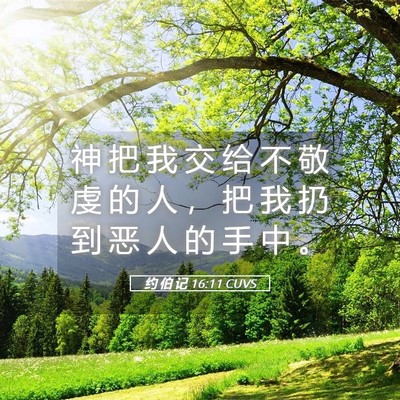 Picture 05 - 约 伯 记 16:11 CUVS - 神 把 我 交 给 不 敬 虔 的 人 ， 把 - Bible Verse Picture