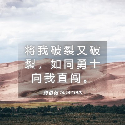 Picture 05 - 约 伯 记 16:14 CUVS - 将 我 破 裂 又 破 裂 ， 如 同 勇 士 - Bible Verse Picture