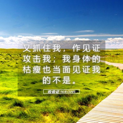Picture 05 - 约 伯 记 16:8 CUVS - 又 抓 住 我 ， 作 见 证 攻 击 我 ； - Bible Verse Picture