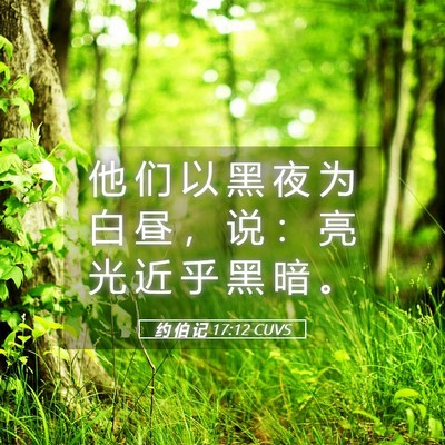 Picture 05 - 约 伯 记 17:12 CUVS - 他 们 以 黑 夜 为 白 昼 ， 说 ： 亮 - Bible Verse Picture