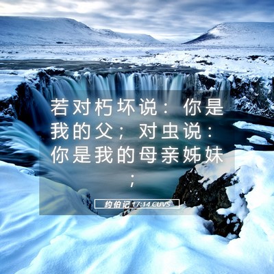 Picture 05 - 约 伯 记 17:14 CUVS - 若 对 朽 坏 说 ： 你 是 我 的 父 ； - Bible Verse Picture