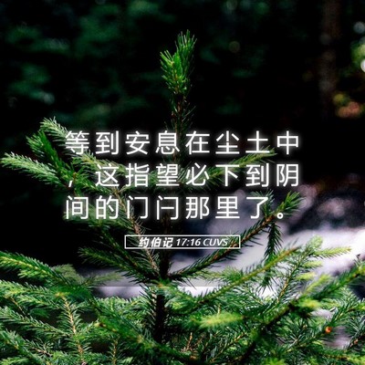 Picture 05 - 约 伯 记 17:16 CUVS - 等 到 安 息 在 尘 土 中 ， 这 指 望 - Bible Verse Picture