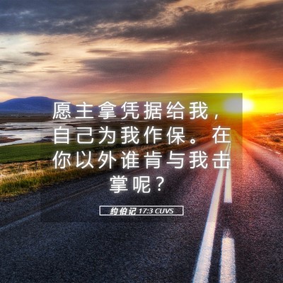 Picture 05 - 约 伯 记 17:3 CUVS - 愿 主 拿 凭 据 给 我 ， 自 己 为 我 - Bible Verse Picture
