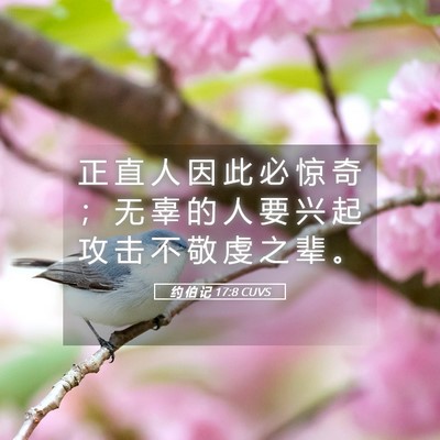 Picture 05 - 约 伯 记 17:8 CUVS - 正 直 人 因 此 必 惊 奇 ； 无 辜 的 - Bible Verse Picture