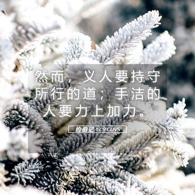 Picture 05 - 约 伯 记 17:9 CUVS - 然 而 ， 义 人 要 持 守 所 行 的 道 - Bible Verse Picture