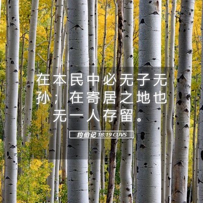 Picture 05 - 约 伯 记 18:19 CUVS - 在 本 民 中 必 无 子 无 孙 ； 在 寄 - Bible Verse Picture