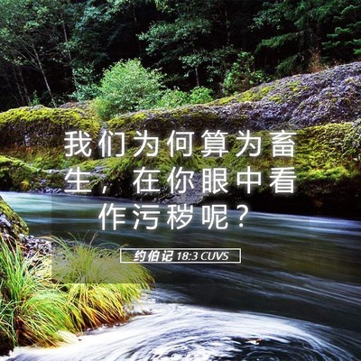 Picture 05 - 约 伯 记 18:3 CUVS - 我 们 为 何 算 为 畜 生 ， 在 你 眼 - Bible Verse Picture